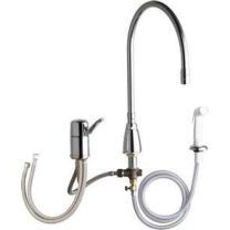 Chicago Faucet 2304-GN10AE3SWGAB