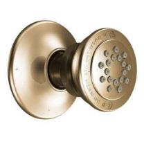 Moen A501AZ