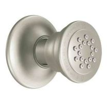 Moen A501BN