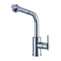 Danze D404558