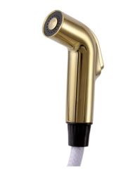 DELTA SPRAY AND HOSE ASSEMBLY, POLISHED BRASS