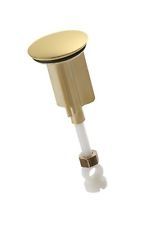 KOHLER, 21318-VF, STOPPER ASSEMBLY, VIBRANT FINISH (GOLDEN) 