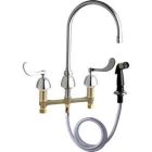 Concealed Dual Supply Sink Faucet W/ Side Spray