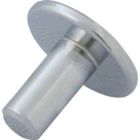 Plunger