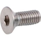 Vandal Proof Screw