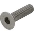Vandal Proof Screw