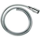 Grohe Ladylux Pro Hose and Head