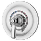 Shower Valve and Trim