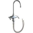 Dual Supply Mixing Sink Faucet