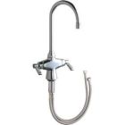 Dual Supply Mixing Sink Faucet