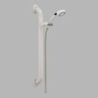 Adjustable Grab Bar Hand Shower