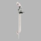 Palm Grab Bar Hand Shower