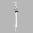 Palm Grab Bar Hand Shower