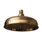 8" Euro Showerhead, 90 Brass & Rubber Nozzles, Polished Brass