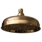 10" Euro Showerhead, 126 Brass & Rubber Nozzles, Polished Brass