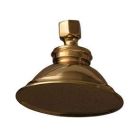 Sprinkler Can Shower Head, Polished Brass