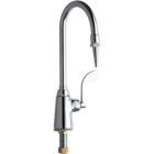 Single Supply Laboratory Sink Faucet
