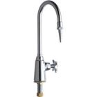 Single Supply Laboratory Sink Faucet