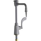 Single Supply Laboratory Sink Faucet