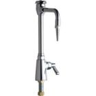 Vandal Proof Single Supply Laboratory Sink Faucet