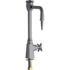 Vandal Proof Single Supply Laboratory Sink Faucet