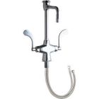 Dual Supply Laboratory Sink Faucet