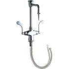 Vandal Proof Dual Supply Laboratory Sink Faucet