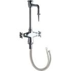 Vandal Proof Dual Supply Laboratory Sink Faucet
