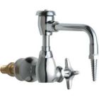 Single Supply Laboratory Sink Faucet
