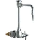 Single Supply Laboratory Sink Faucet