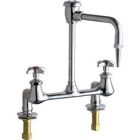 Dual Supply Laboratory Faucet