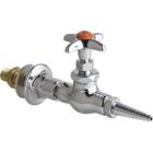 Wall Flange W/ Single Needle Valve
