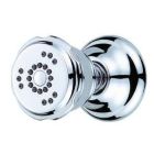 2 Function Wall Mount Body Spray
