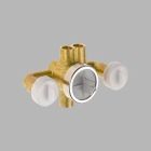 Jetted Shower(Tm) Rough-In With Extra Outlet (6 Setting)