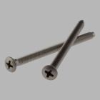 Escutcheon Trim Screws (2)
