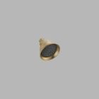 Touch-Clean(R) Shower Head