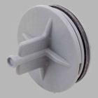 Pressure Test Cap