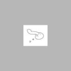 Leland: Single Metal Lever Handle With Button And Set Screw