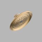 Single-Setting Shower Head