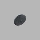 Touch-Clean(R) Raincan Shower Head