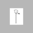 Dryden: Lift Rod, Knob And Set Screw - Roman Tub