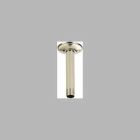 Shower Arm - Ceiling Mount