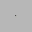 Linden: Lift Rod Finial