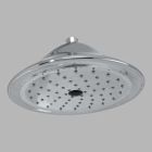 Cassidy: Shower Head