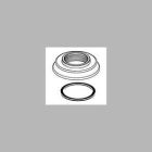 Cassidy: Base & Gasket