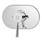 Shower Valve and Trim