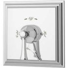 Shower Valve and Trim