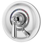 Shower Valve and Trim