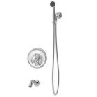 Hand Shower/Tub Valve and Trim