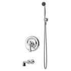 Hand Shower/Tub Valve and Trim